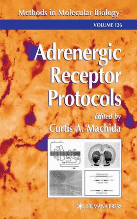 Adrenergic Receptor Protocols