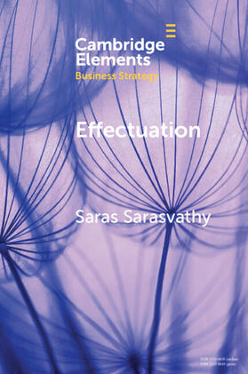 Effectuation