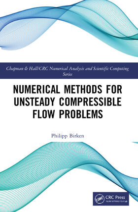 Numerical Methods for Unsteady Compressible Flow Problems