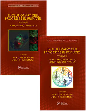 Evolutionary Cell Processes in Primates