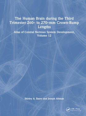 The Human Brain during the Third Trimester 260- to 270-mm Crown-Rump Lengths