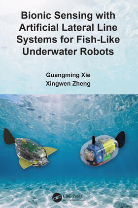 Bionic Sensing with Artificial Lateral Line Systems for Fish-Like Underwater Robots