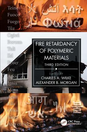 Fire Retardancy of Polymeric Materials