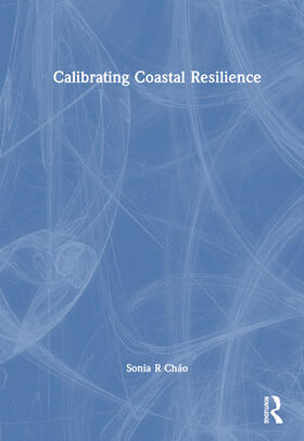 Calibrating Coastal Resilience