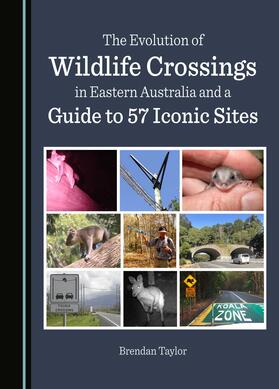 The Evolution of Wildlife Crossings in Eastern Australia and a Guide to 57 Iconic Sites
