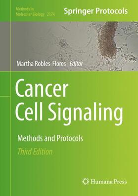 Cancer Cell Signaling