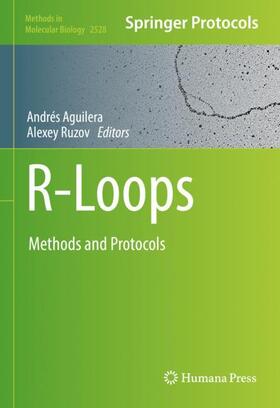 R-Loops