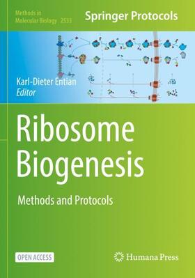 Ribosome Biogenesis