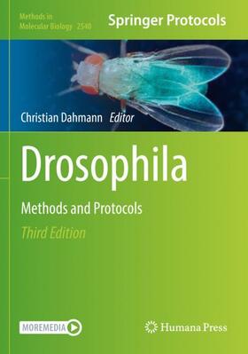 Drosophila