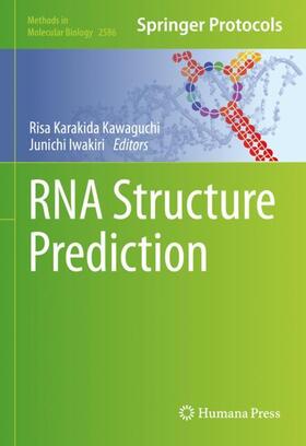 RNA Structure Prediction