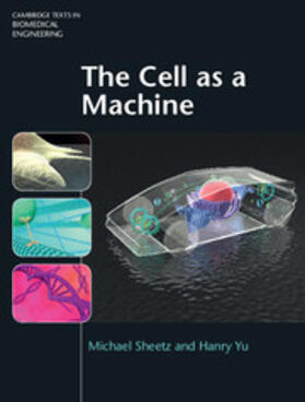 The Cell as A Machine