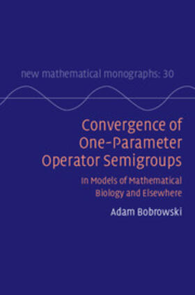 Convergence of One-parameter Operator Semigroups