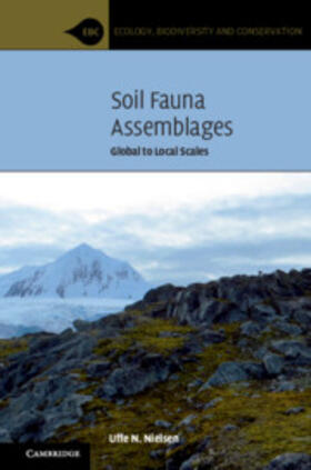 Soil Fauna Assemblages