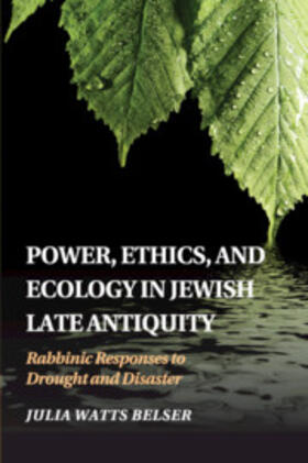 Power, Ethics, and Ecology in Jewish Late Antiquity