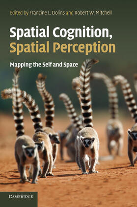 Spatial Cognition, Spatial Perception