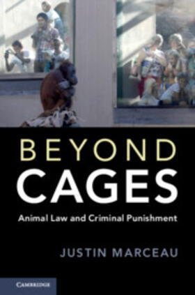 Beyond Cages