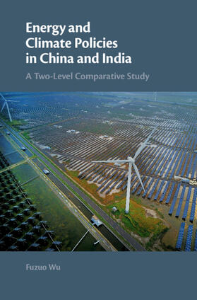 Energy and Climate Policies in China and India