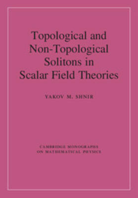 Topological and Non-Topological Solitons in Scalar Field Theories
