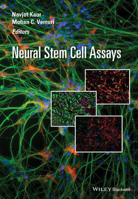 Neural Stem Cell Assays