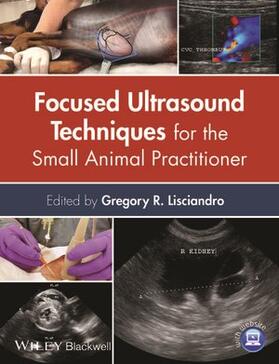 Focused Ultrasound Techniques for the Small Animal Practitioner