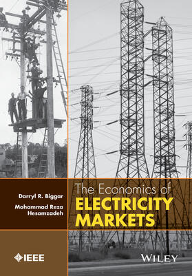 Electricity Markets