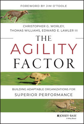 The Agility Factor