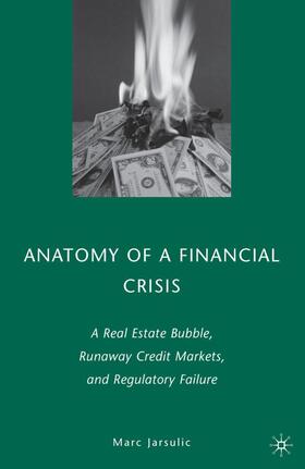 Anatomy of a Financial Crisis