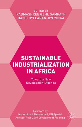 Sustainable Industrialization in Africa