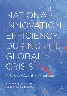 National Innovation Efficiency During the Global Crisis