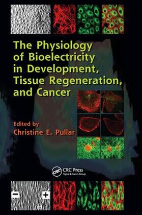 The Physiology of Bioelectricity in Development, Tissue Regeneration and Cancer