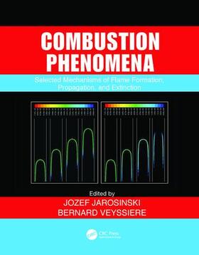 Combustion Phenomena: Selected Mechanisms of Flame Formation, Propagation and Extinction