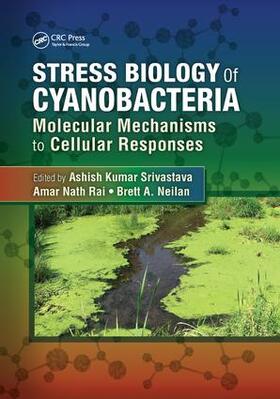 Stress Biology of Cyanobacteria