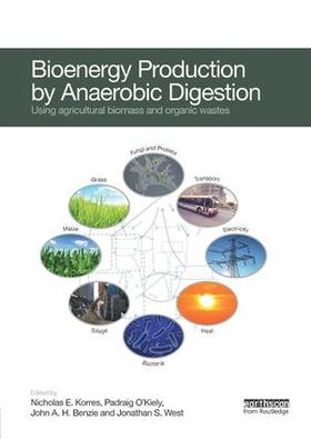 Bioenergy Production by Anaerobic Digestion