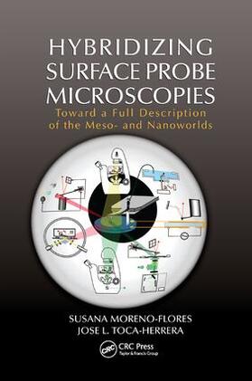 Hybridizing Surface Probe Microscopies