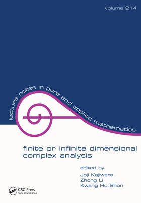 Finite or Infinite Dimensional Complex Analysis