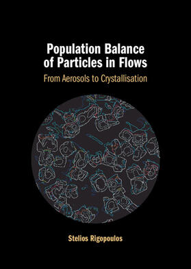 Population Balance of Particles in Flows