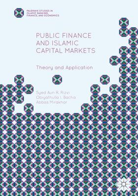 Public Finance and Islamic Capital Markets