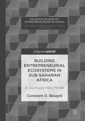 Building Entrepreneurial Ecosystems in Sub-Saharan Africa