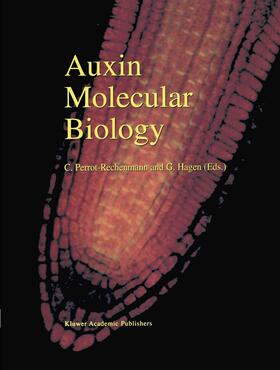 Auxin Molecular Biology