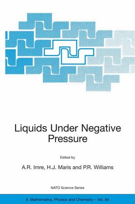 Liquids Under Negative Pressure