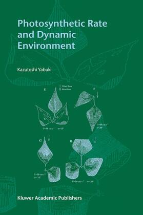 Photosynthetic Rate and Dynamic Environment