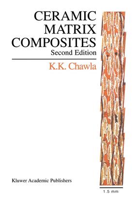 Ceramic Matrix Composites