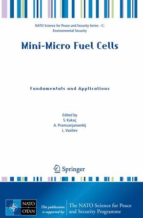 Mini-Micro Fuel Cells