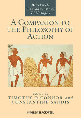 Companion Philosophy Action