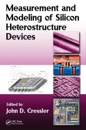 Measurement and Modeling of Silicon Heterostructure Devices