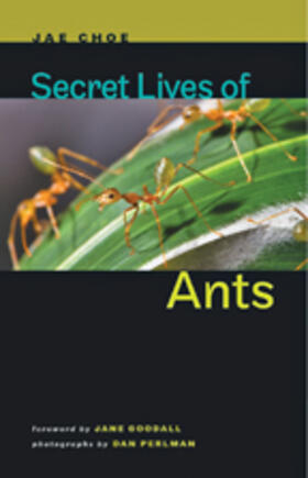 Secret Lives of Ants