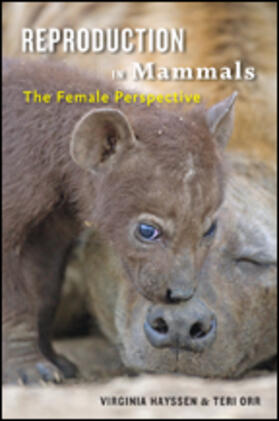 Reproduction in Mammals