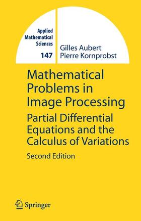 Mathematical Problems in Image Processing