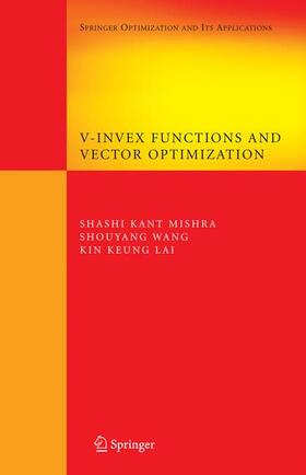 V-Invex Functions and Vector Optimization