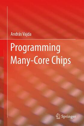 Programming Many-Core Chips